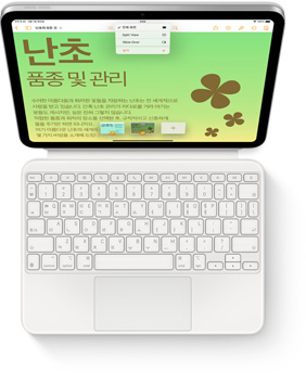 iPad? ??? ??? ?? Magic Keyboard Folio? ??? ???? ??.