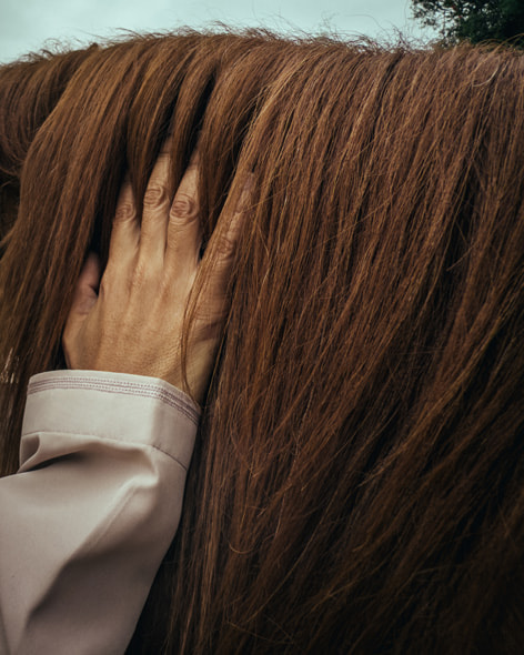 A close-up of a person’s hand running through a horse’s mane.