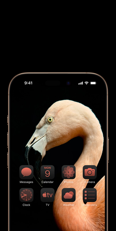 écran d’iPhone 16 affichant une photo dynamique d’un flamand rose de profil et des widgets teintés de rose pour harmoniser le tout.